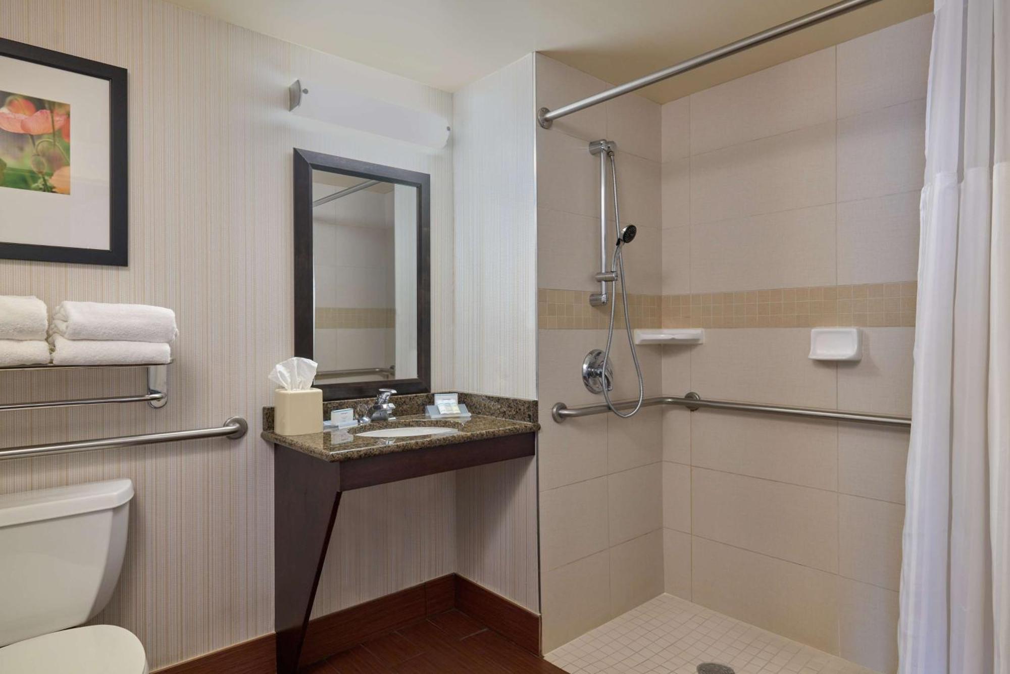 King Room Roll Shower Mobility or Hearing Accessible