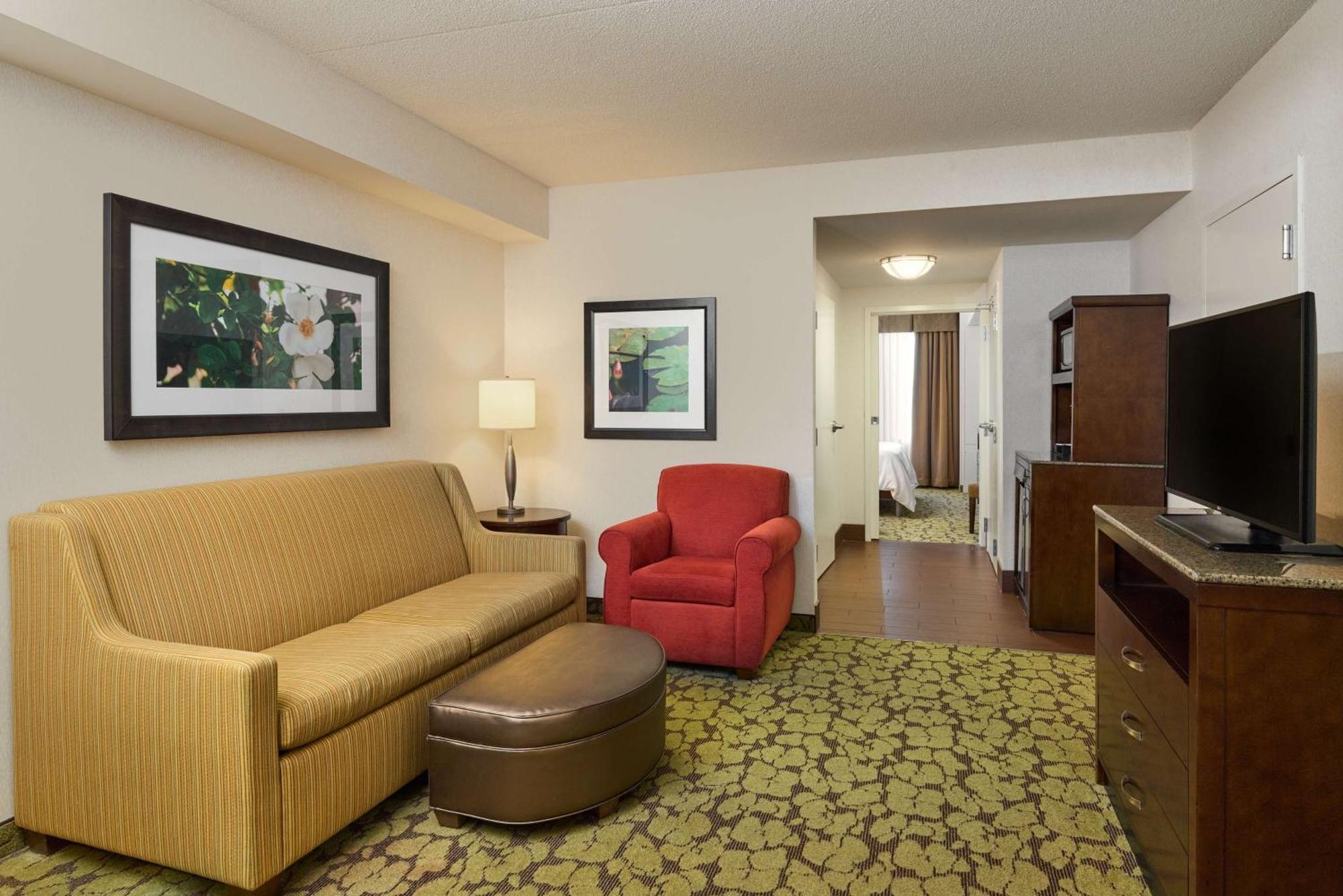 One-Bedroom King Suite Sofa Bed,1548846553:JPEG